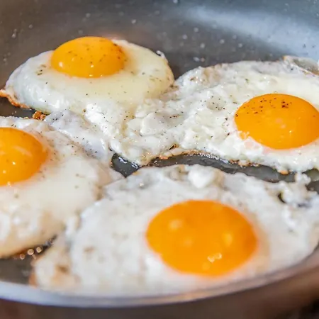 乡村民宿 Living *