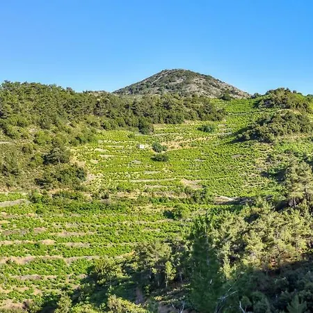 Living Séjour à la campagne