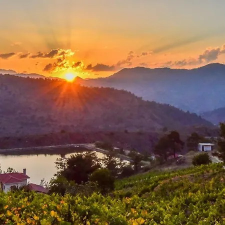 Living منزل ريفي *