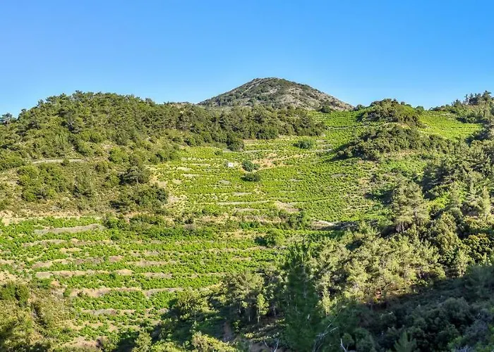 Living Casa di campagna