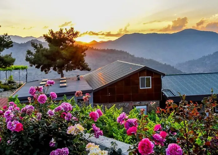 Living Casa di campagna